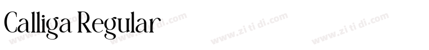 Calliga Regular字体转换 Calliga Regular字体转换